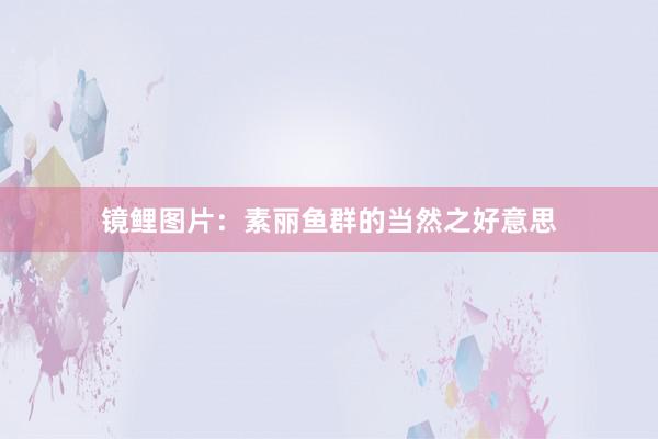 镜鲤图片：素丽鱼群的当然之好意思